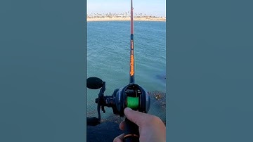 Spinning VS Baitcasting Reels. Which one cast further?