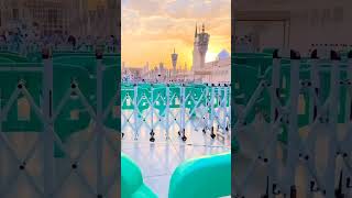 حضور نے فرمایا ایسا اشارہ بھی حرام ہے جس سے کسی کو رنج ہو by Al-Haramain🕋 2 views 1 month ago 3 minutes, 40 seconds