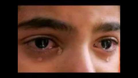 القارئ/عبدالرحمن  شوقي