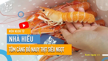 Tôm Càng Đỏ tươi sống - Hải Sản Nhập Khẩu NaUy