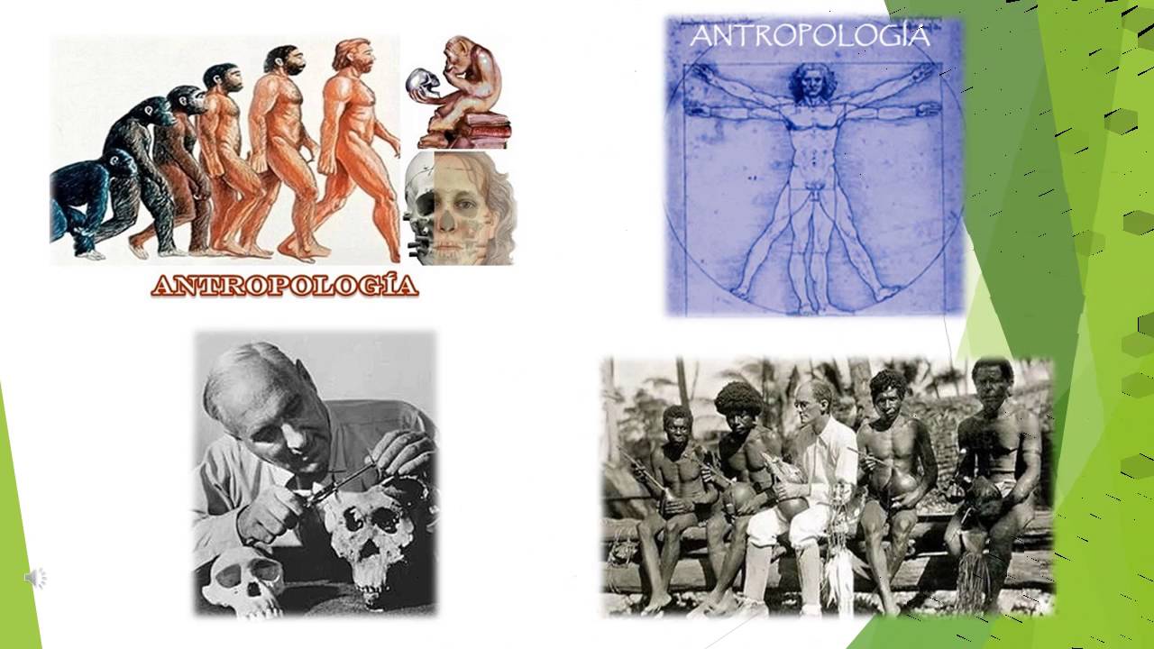 Aportacion De La Antropologia A La Administracion