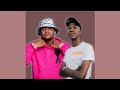 Mdu Aka Trp & Kabza De Small - Kokwane (Feat. Mkeyz)
