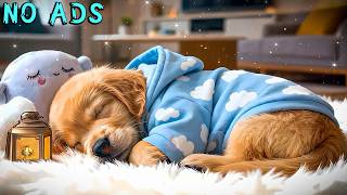 15 STUNDEN Beruhigende Musik für Hunde 🎵 Sanfte Heilklänge 🐶 Tiefer Schlaf &amp; gegen Einsamkeit