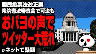 国民投票法改正案衆院憲法審査会で可決でおパヨの声でツイッター大荒れが話題