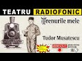 Tudor musatescu  trenurile mele  teatru radiofonic