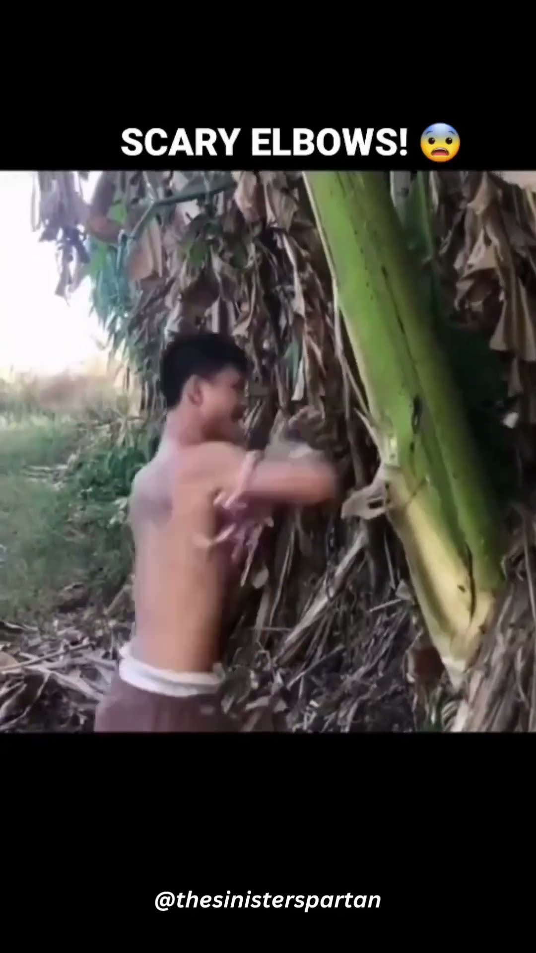Witness The Deadly Power Of Muay Thai Elbows Of Destruction YouTube Witness The Deadly Power Of Muay Thai Elbows Of Destruction YouTube
