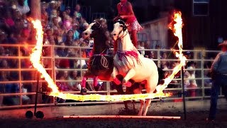 Light 'Em Up || Rodeo Horse 