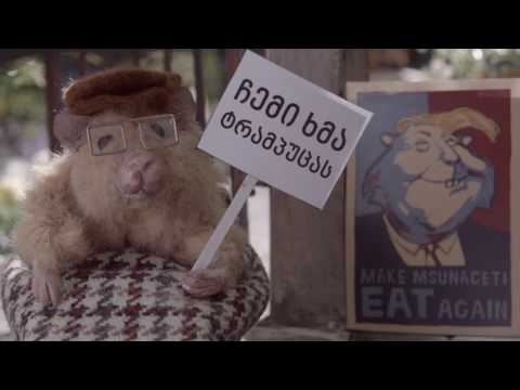 მსუნაგები ეპიზოდი 2:  ნაზი, გილოცავ!