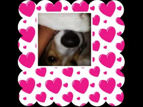 ОБИЧАМ ТЕ Скоро ще кача клип как го обучавам