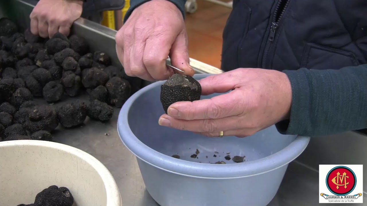 Marché de Lalbenque et préparation des truffes à Chambon \u0026 Marrel