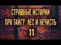Страшные истории про тайгу, лес  и нечисть. 11 Мистика Zvook. Олег Ли