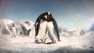 Kay Jewelers - Penguins