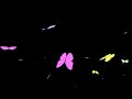 Animated Butterflies Flying Black Screen Overlay | Pastel Butterflies Asset