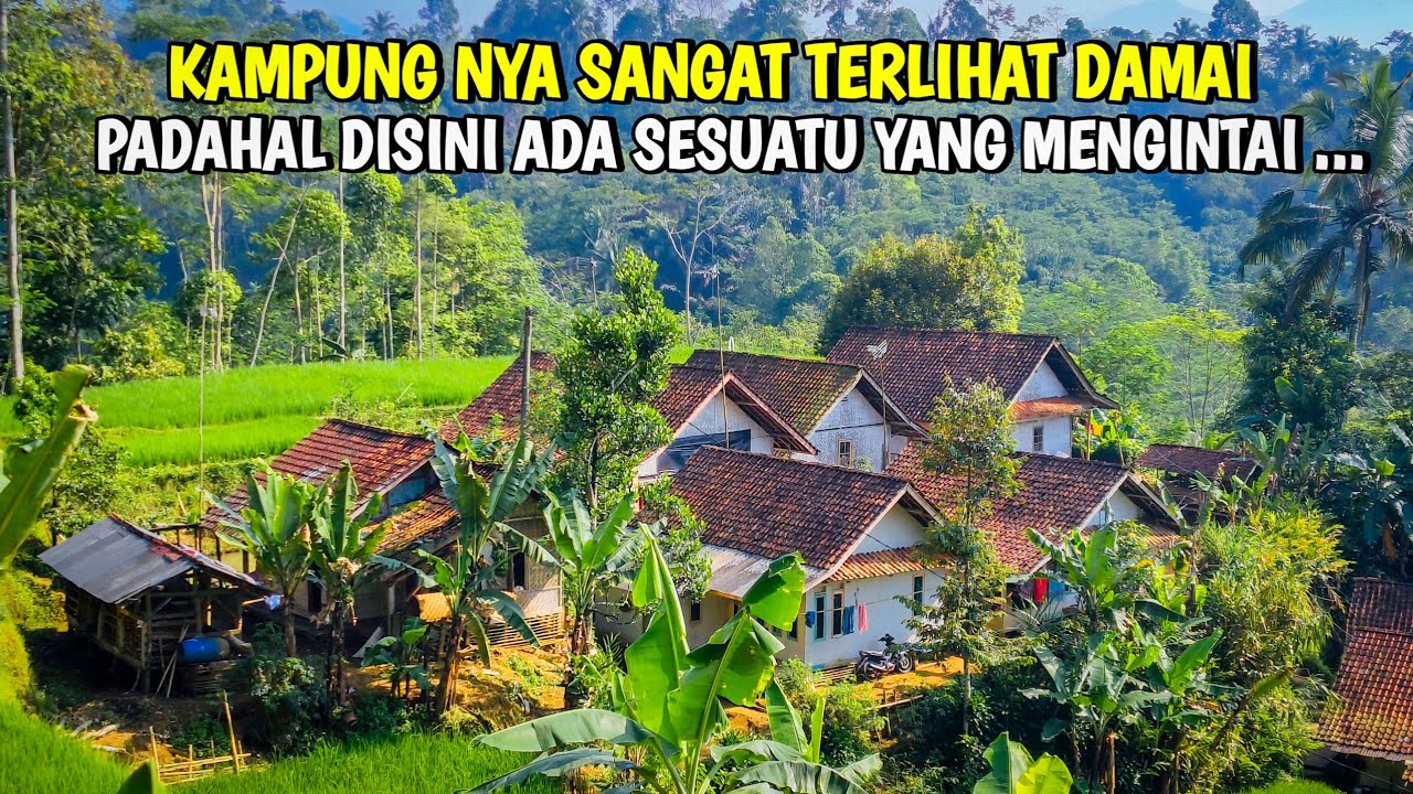 INILAH DAMAI YANG MENIPU HIDUP DI DESA TIDAK SELAMANYA INDAH