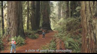 Redwood National and State Parks' Orientation Film.