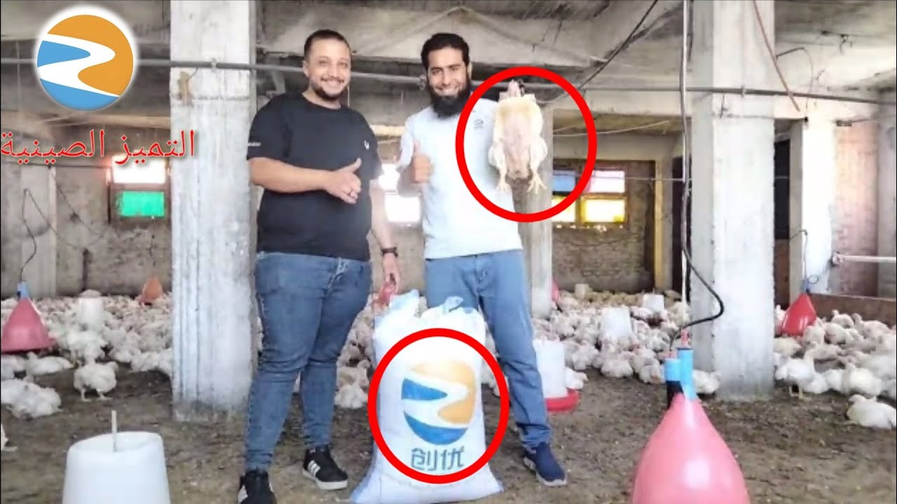 علف التميز الصينى ديما رقم واحد