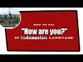 How to say How are you in Indonesian | Learn Indonesian through Hindi Urdu | Indonesian Greetings