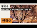 K-ART: 이하이, 첫 호주 투어 확정… 8월 3개 도시 공연 | SBS Korean - SBS 한국어 프로그램