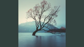 Winter Reflection Pt. 40