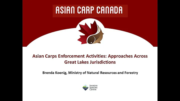 Asian Carps Enforcement Activities  Approaches Acr...