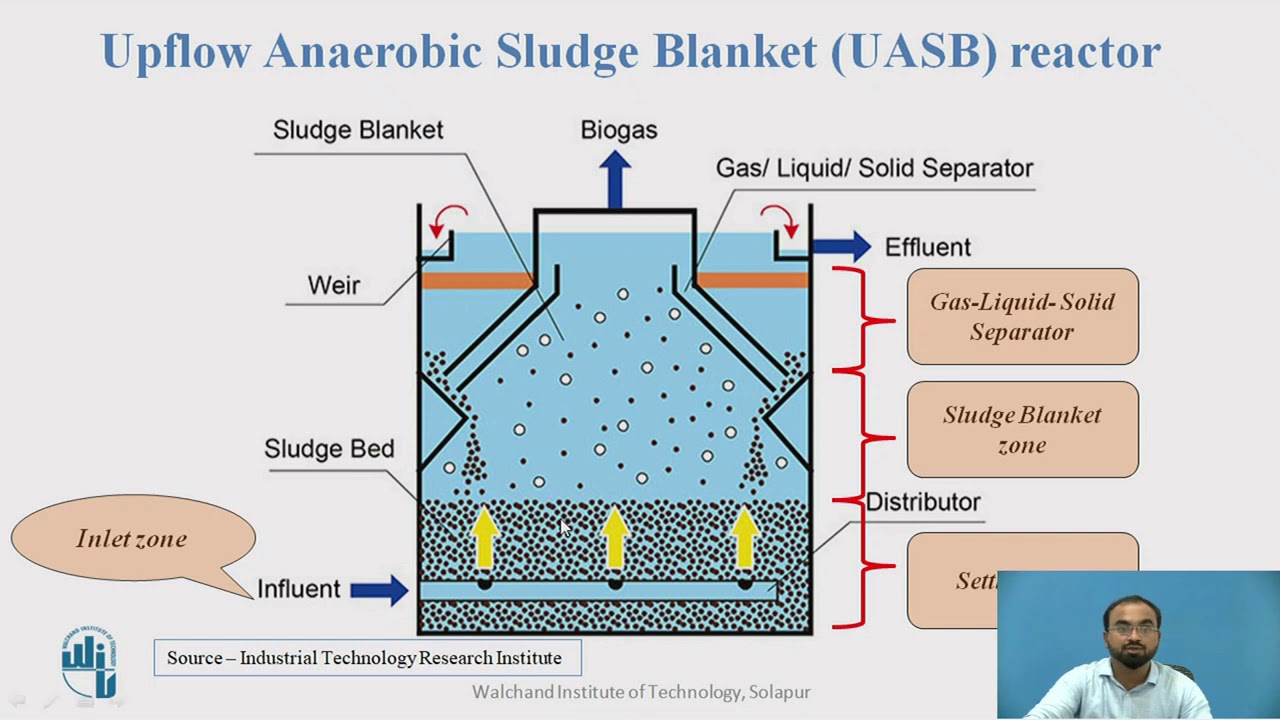 Upflow Anaerobic Sludge Blanket (UASB) reactor - YouTube