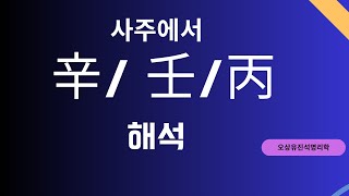 사주에서 辛과 壬/丙 해석하기 오상유진석명리학강의