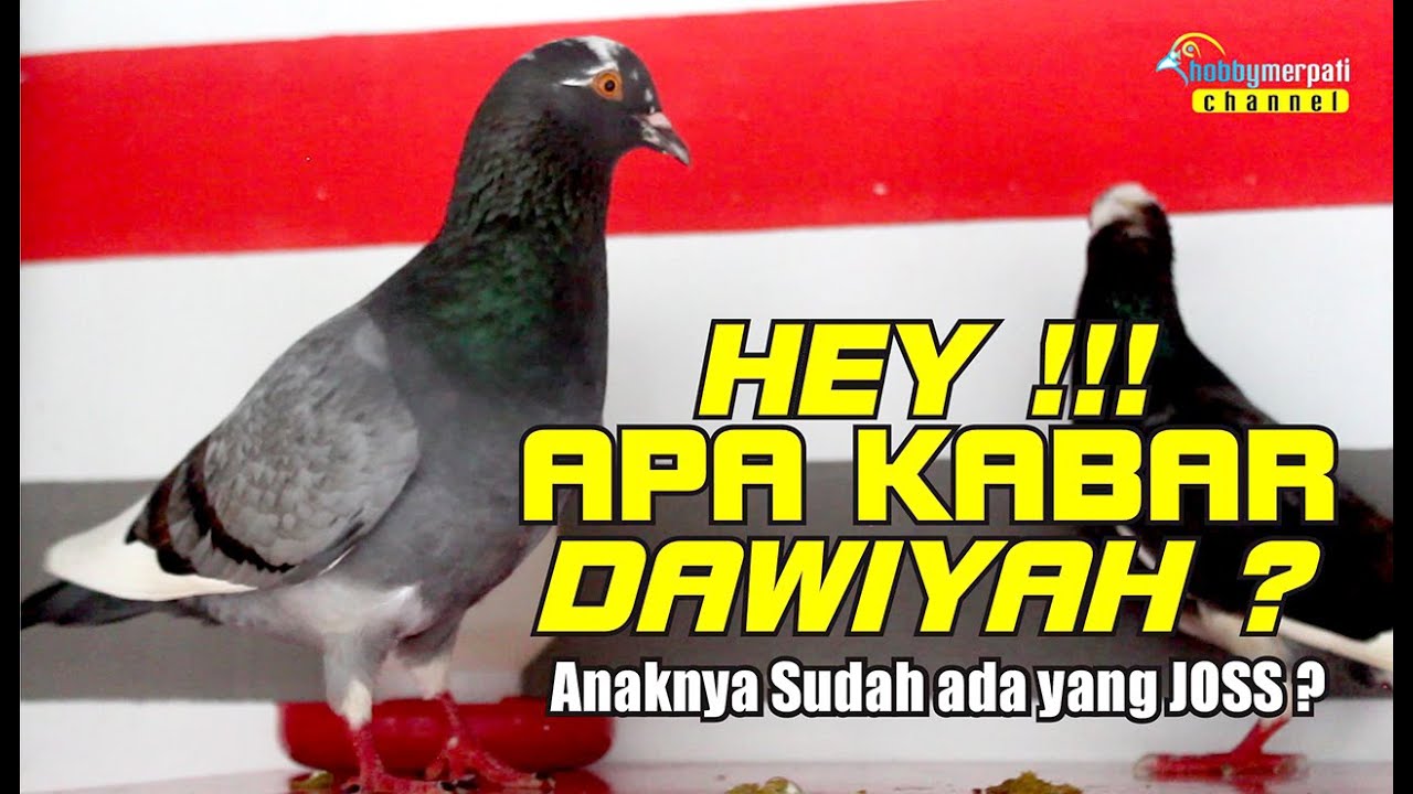 DAWIYAH ! KEMANA SAJA LU BROO....