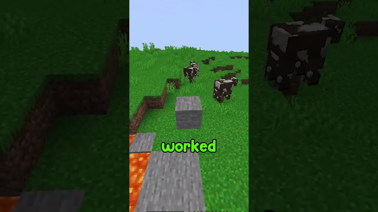 Minecraft, But You Become the Block You Touch…