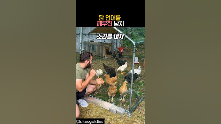 닭 언어를 깨우친 남자 #유머 #동물 #닭