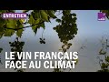 Climat concurrence trangre nouveaux usagesle vin franais atil tourn 
