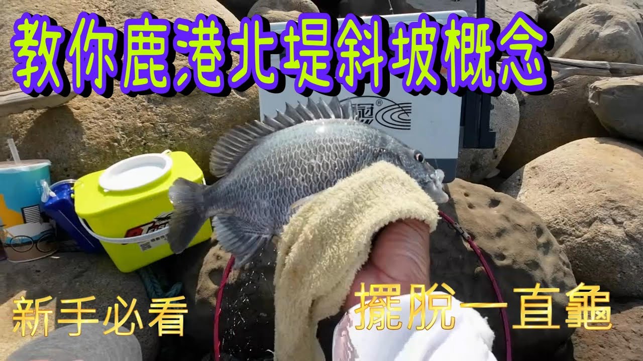 鹿港北堤黑格小咬新手教學 !斜坡 平台皆適用! #斜坡 #釣黑牛 #彰濱
