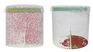 M-Star Tutorials: Fluid Particle Simulations