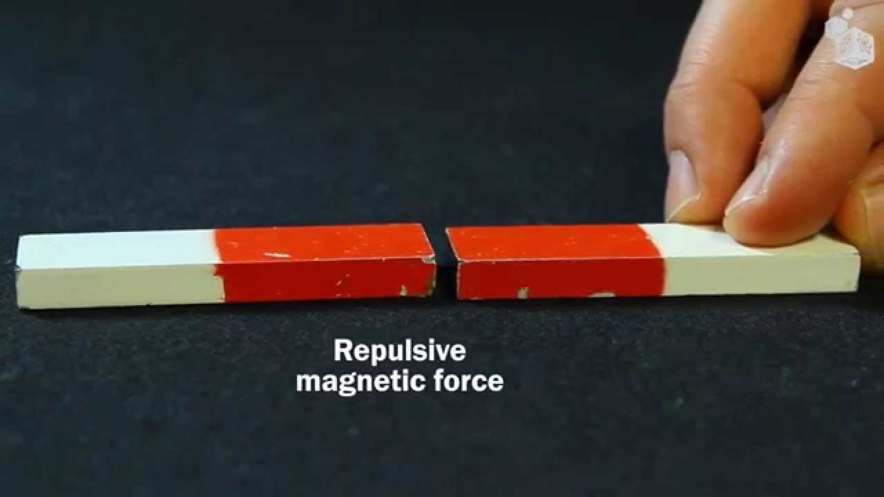 Video Lab: Magnetic Forces