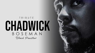 Black Panther || Tribute Chadwick Boseman || Marvel Studios Avengers