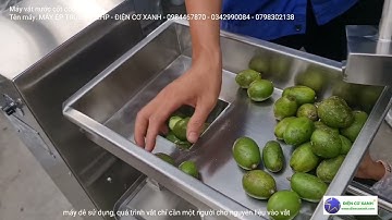 Máy vắt nước cốt cóc, ổi, khóm... Điện Cơ Xanh, 0984467870