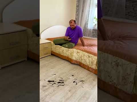 OMG Зачем он туда прыгнул? 😮 #shorts от Andi like
