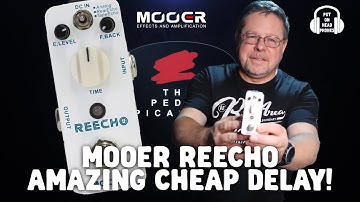 MOOER REECHO AMAZING CHEAP DELAY!