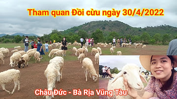 Đồi cừu ở Châu Đức, Bà Rịa Vũng Tàu giờ ra sao?  How is the sheep hill now?