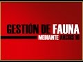 Curso de Gestión de Fauna mediante SIG con ARCGIS