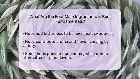 What Are the Four Main Ingredients in Beer Fundamentals? | The Pint Guy