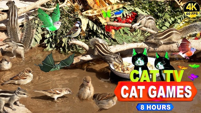 Catch Cat - Super Game