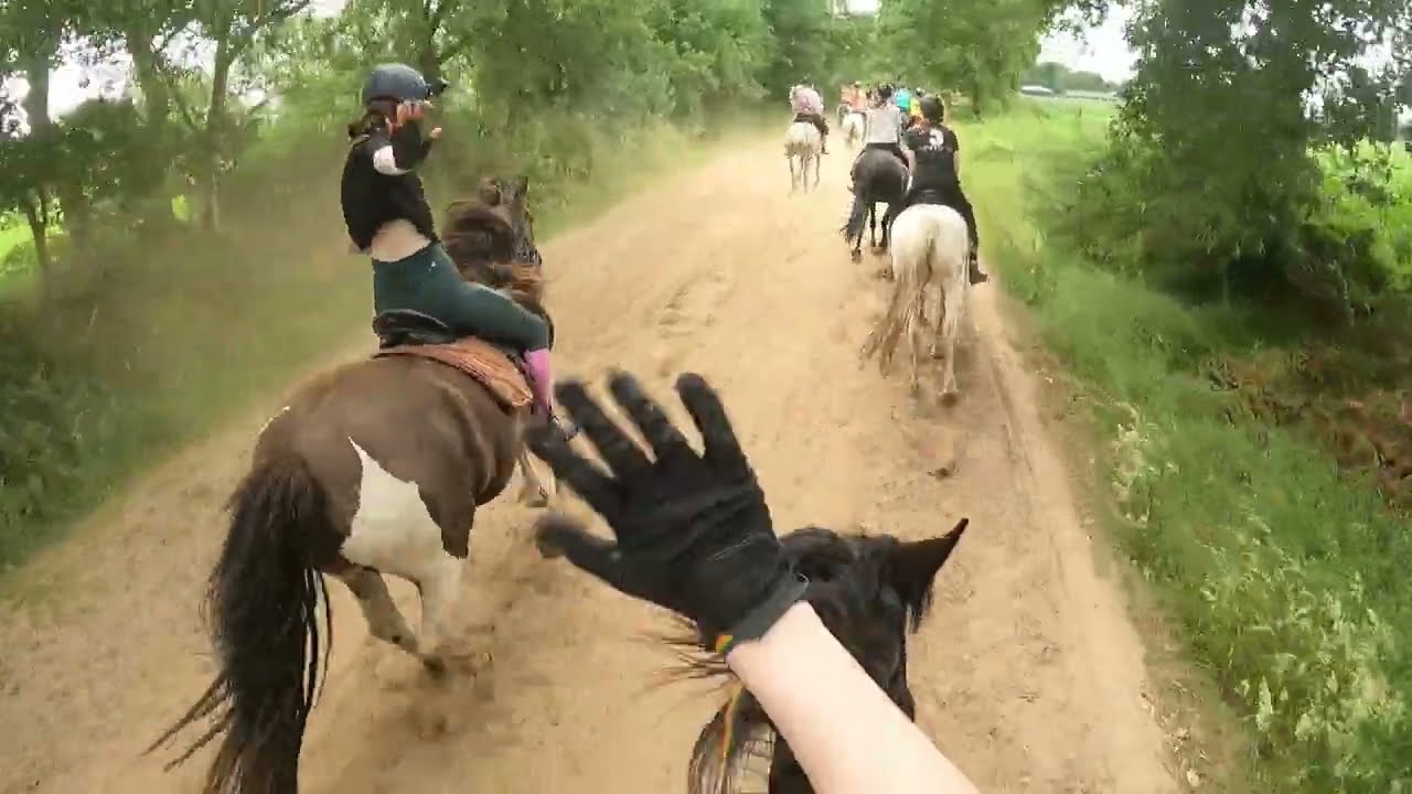 RC Het Fjordenpaard || Juni weekendje 2025