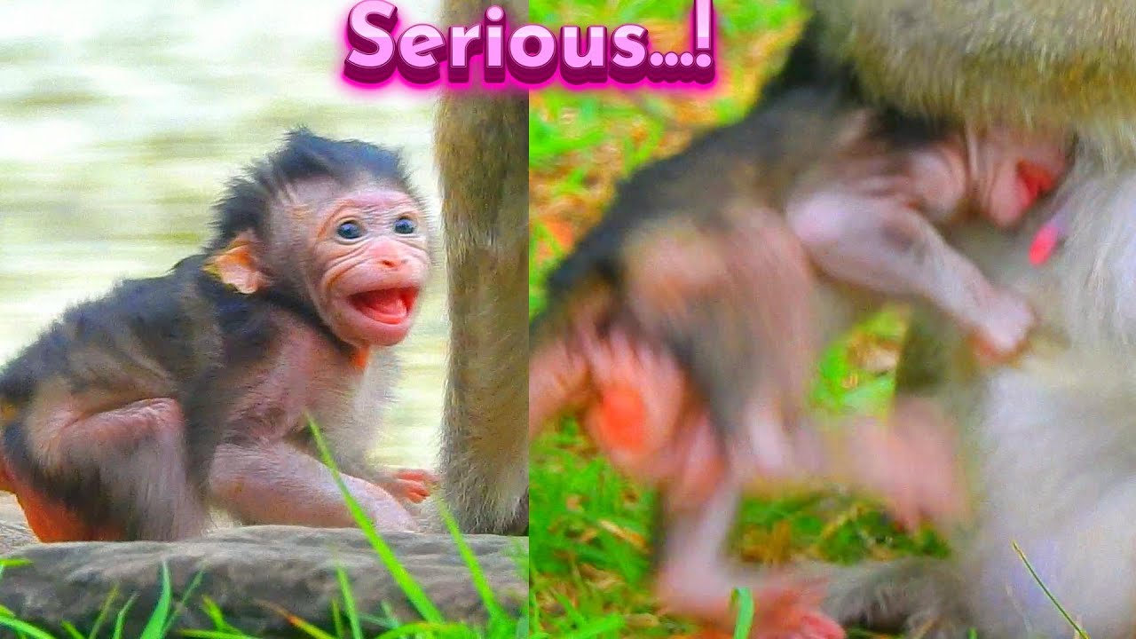 Hot Event! Poorest Newborn Really Got Suffering Seriously Everyday...!