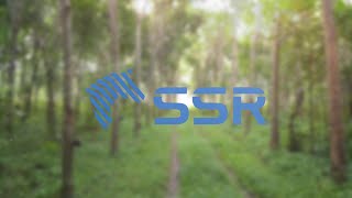 Precision Cutting Process At Vietnamese Wood Factory - Ssr Vina