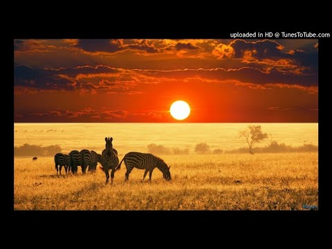 Trademark Ft Thina - Imizwa