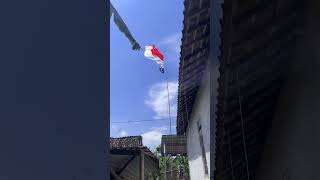 bendera merah putih besar #benderaonepiece bendera merah putih besar #benderaonepiece