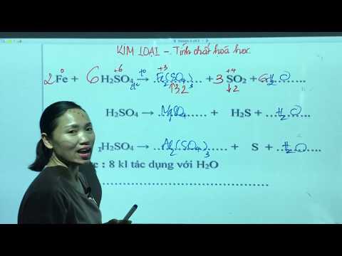 Video 12.5.4 Tính Chất Hóa Học Của Kim Loại - Đại Cương Kim... - youtube