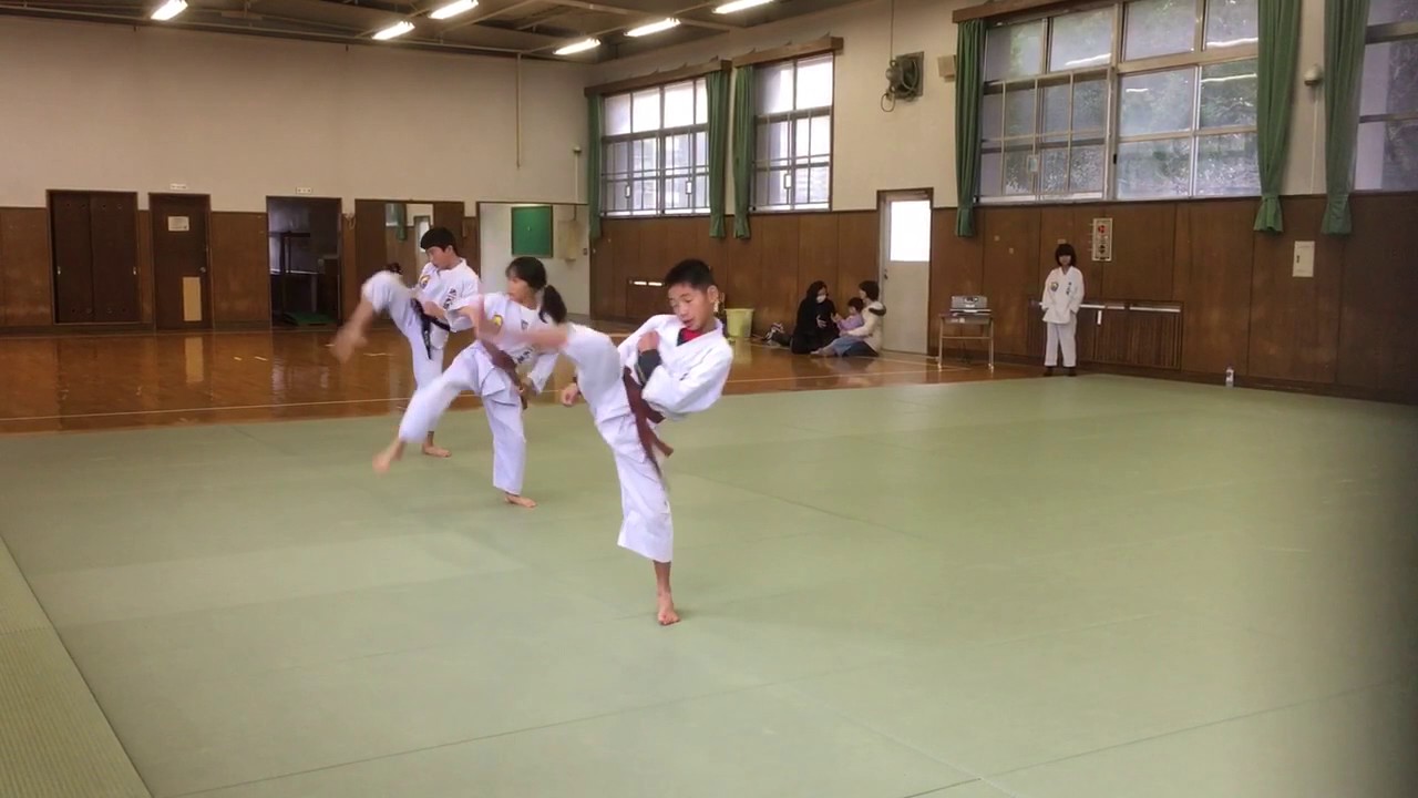 Sumiyoshi Dojo - Chang jo Ui Bon