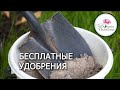 БЕСПЛАТНЫЕ УДОБРЕНИЯ.   ВСЕ О ЗОЛЕ И УГЛЕ