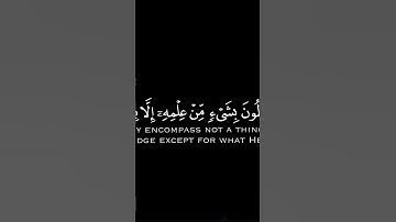 آية الكرسي #آية_الكرسي #سورة_البقرة #قرآن #قران_كريم #korean #travel